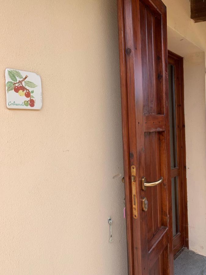 Agriturismo Terra Noas Villaurbana ภายนอก รูปภาพ